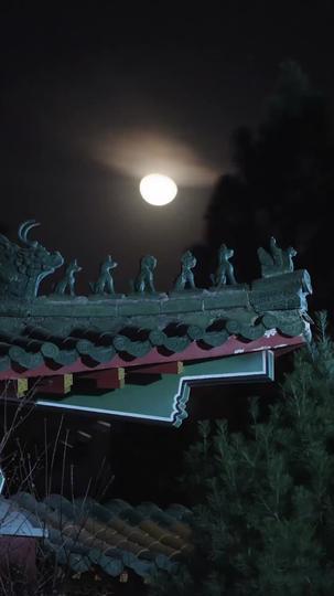 Wrapped in Poison, Healed by Love Episode 1