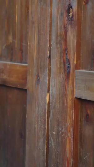 棄婦涅槃:攝政王的掌心嬌 第10集