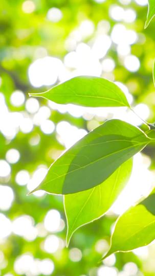 親愛的，請不要愧疚 第9集