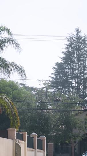 Papa, Ne Pars Pas, Sauve Maman ( Doublé ) Épisode1