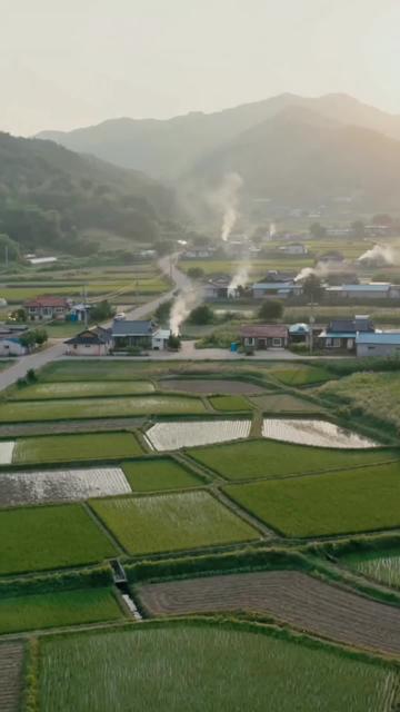 Love Grows on the Billionaire’s Farm Ep. 3