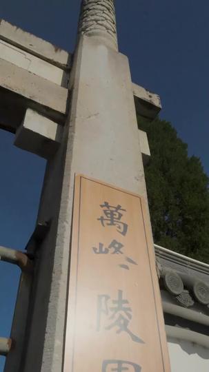 عودة من المعركة: طريق انتقام أمير عباس 1مجموعة