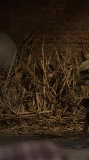 她的最后证词 第4集