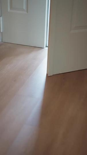 邵總，您的白月光是木偶 第4集