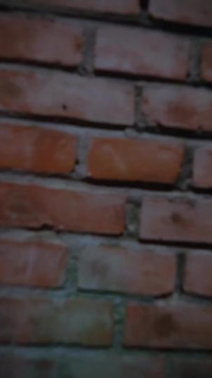 蓝血无双龙帝 第10集