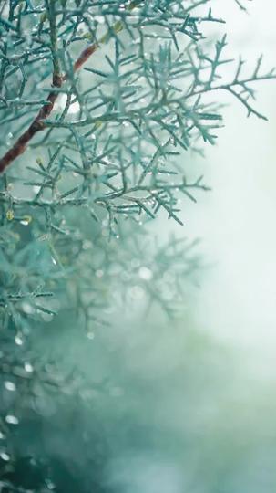 Dear Ex, Kiss My Crown Episode 1