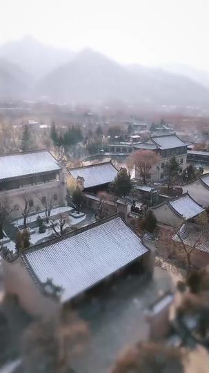 Dominance Unveiled: The Obeisance Begins Episode 1