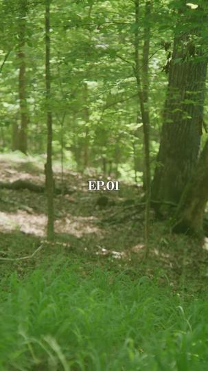 Dark Web of Desire Episode 1