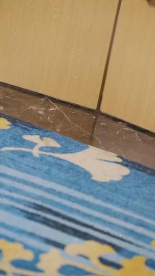 False Sparks: The Expert Who Wasn't Episode 1