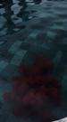 Episodes 30