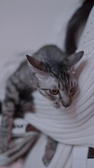 วิวาห์ร้าว ลวงใจรัก ที่4ตอน