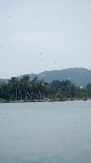 Lights Off, Survival On Episode 2