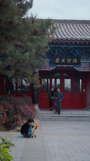 她掌命運沉浮 第11集