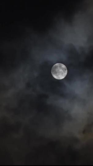 陆爷总是在吃醋 第9集