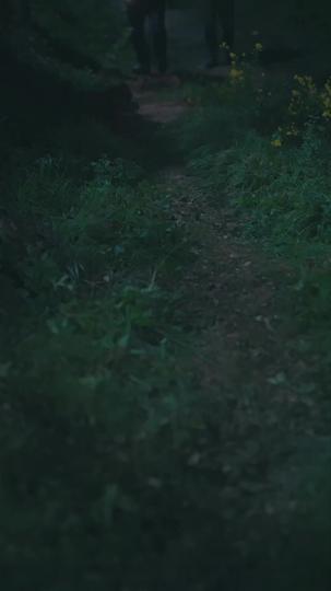 Pais na Fuga, Eu Levo o Cobrador a Voar Alto 11Episódio