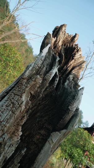 仙缘小卖部 第3集