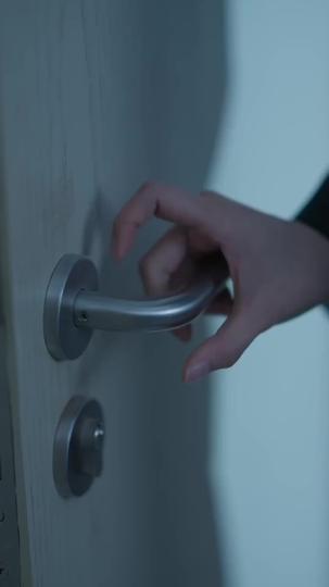 Das Doppelspiel 10Folgen