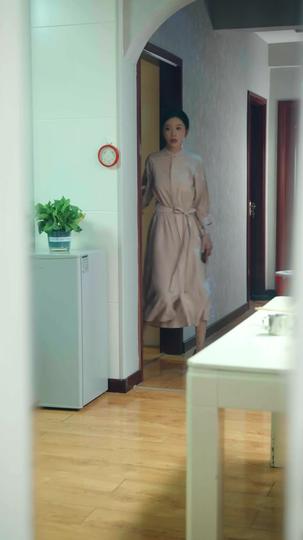 带领全村人致富 第9集