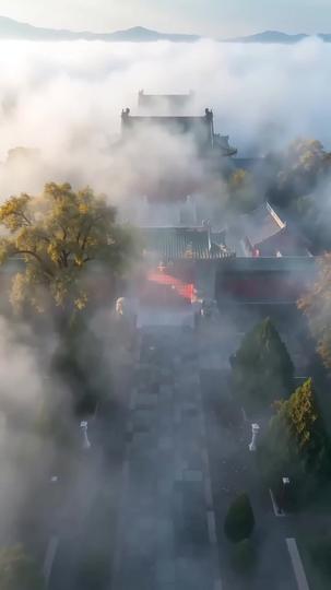 震驚：祖母讓我振興家族 第4集