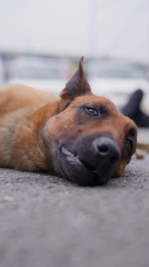 Jangan Sentuh Batasanku Episode 11