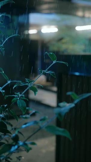 婚深,意更濃 第1集