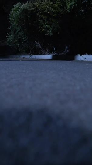 The Day I Died, Their Hell Began Episode 10