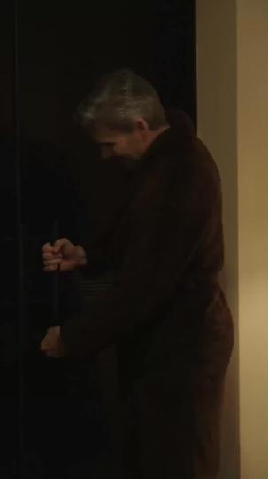 Mein geheimer Agenten-Ehemann 10Folgen