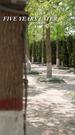 Episode 62