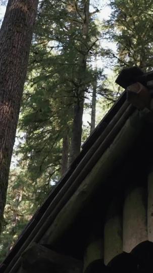 Sinful Triangle With Alpha's Twin Mates Episode 4