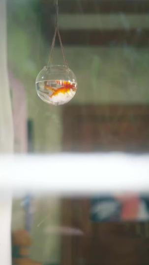 Replaying the Color of Our Days Episode 11