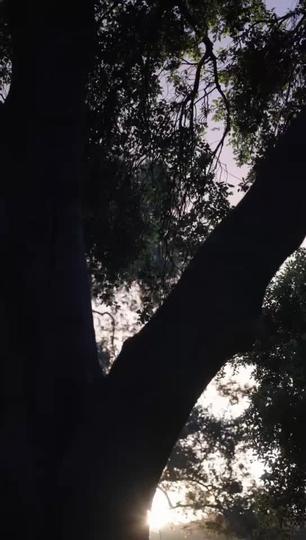 Rejected Luna's Prince Episode 4