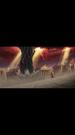 Episodes 31