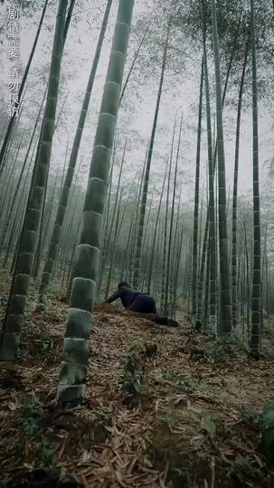 Shattered Bonds: The Echoes of Betrayal Episode 4