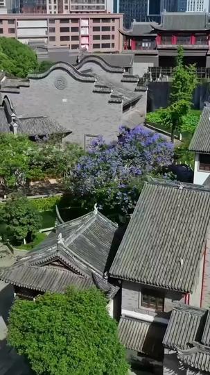 나의 보스 아내 제2회