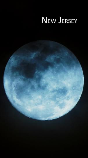 Flash Marriage with My Werewolf Husband Episode 1