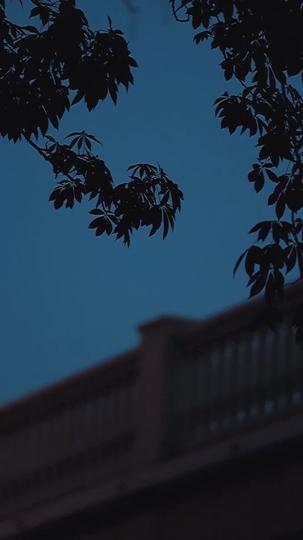 Drama in HD Episode 5