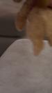 Episode 22