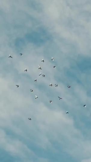 山海自有归期 第1集