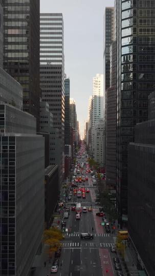 Séduction Légale pour Milliardaire Glacial ( Doublé ) Épisode5