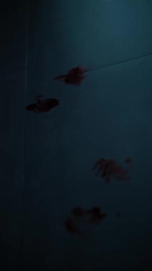 囚笼谜影 第1集