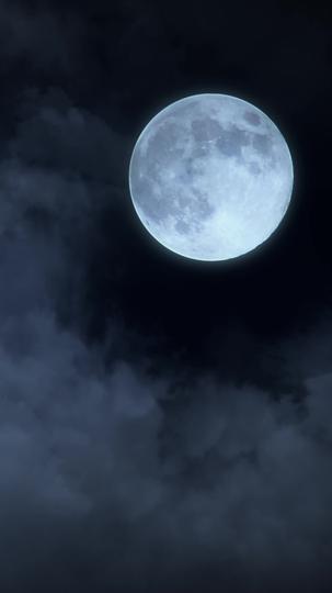 Alpha’s Curse Destined Love Episode 1