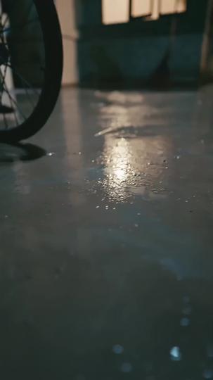 Caseira Expulsa: A Caipira Retorna Vitoriosa 1Episódio