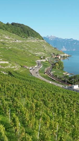 Mi príncipe dominante Episodio 9