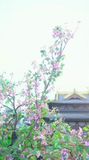 동물과 말하는 그녀 제8회