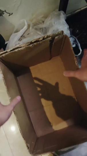 ヤバイ！秘書たちに囲まれた 第 4 話