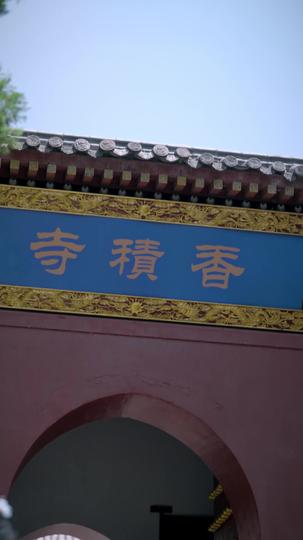 天命凤女 第4集