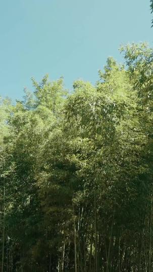 魔心渡：如來掌 第3集