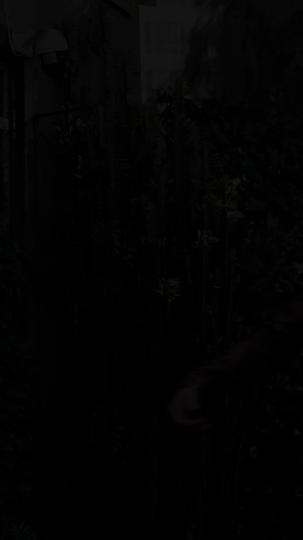 The Black thrones Episode 11