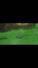 Episodes 13