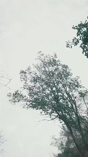 절세신황 제5회